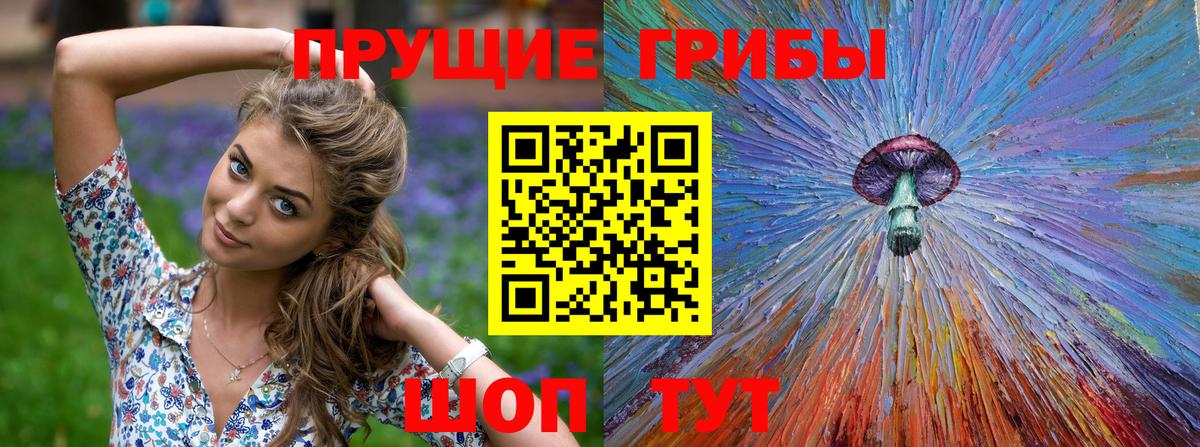 Псилоцибиновые грибы Magic Shrooms  Галлюциногенные грибы прущие грибы  Вход с VPN  Ртищево 